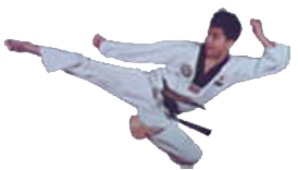 Taekwondo advance kicks, flying kick, cut kick, side kick